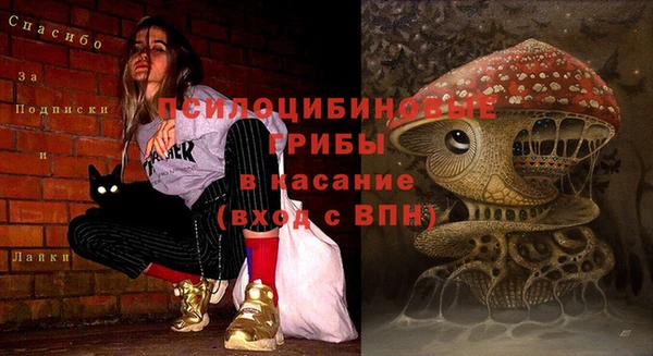 PSILOCYBIN Балабаново