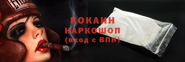 PSILOCYBIN Балабаново