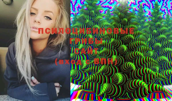 PSILOCYBIN Балабаново