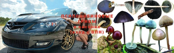 ешки Балахна