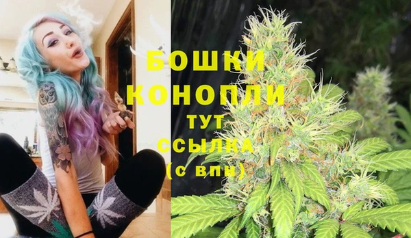 PSILOCYBIN Балабаново