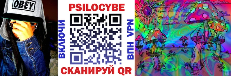 KRAKEN ССЫЛКА  Задонск  Галлюциногенные грибы Psilocybine cubensis  где можно купить наркотик 